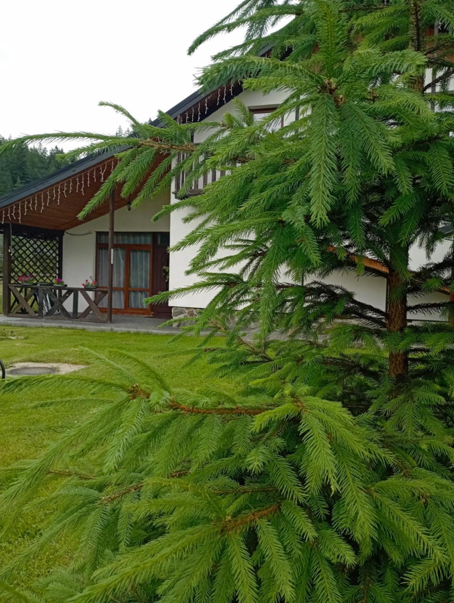 미쿨리친 U Anastasii I Sofii Bilya Richki 게스트하우스 외부 사진