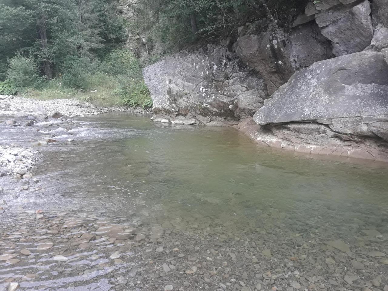 미쿨리친 U Anastasii I Sofii Bilya Richki 게스트하우스 외부 사진