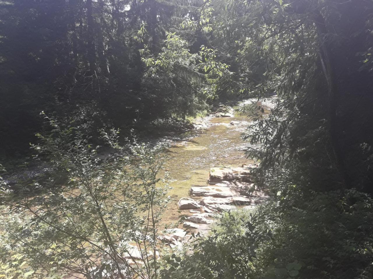 미쿨리친 U Anastasii I Sofii Bilya Richki 게스트하우스 외부 사진