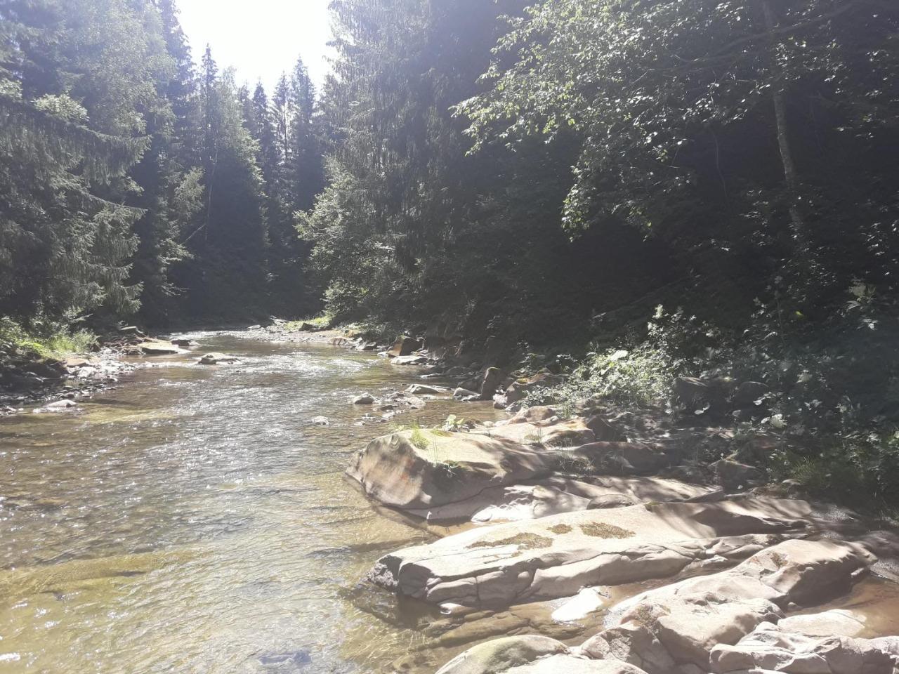 미쿨리친 U Anastasii I Sofii Bilya Richki 게스트하우스 외부 사진